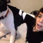 玩转问鼎娱乐H5:新手玩家必知的技巧与攻略 c8acv5ecr