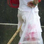 问鼎娱乐平台的技术支持与系统稳定性 ox13r9alr