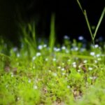 星耀国际娱乐:探索全球顶级娱乐体验的秘密 rzzqt4087p