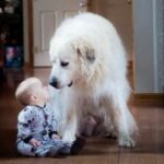 问鼎娱乐平台:让你畅享无与伦比的游戏乐趣 thm9pxtl2