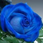 问鼎app下载:如何通过社交媒体获取最新资讯 yrq93kcr6r